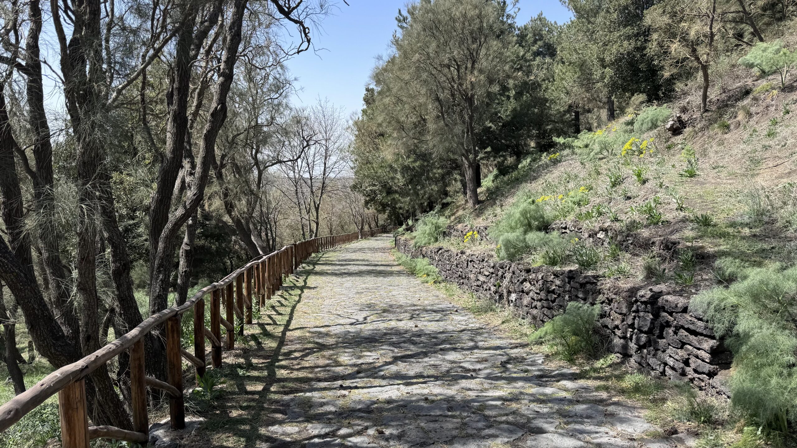 Sentiero nel territorio dell'Etna